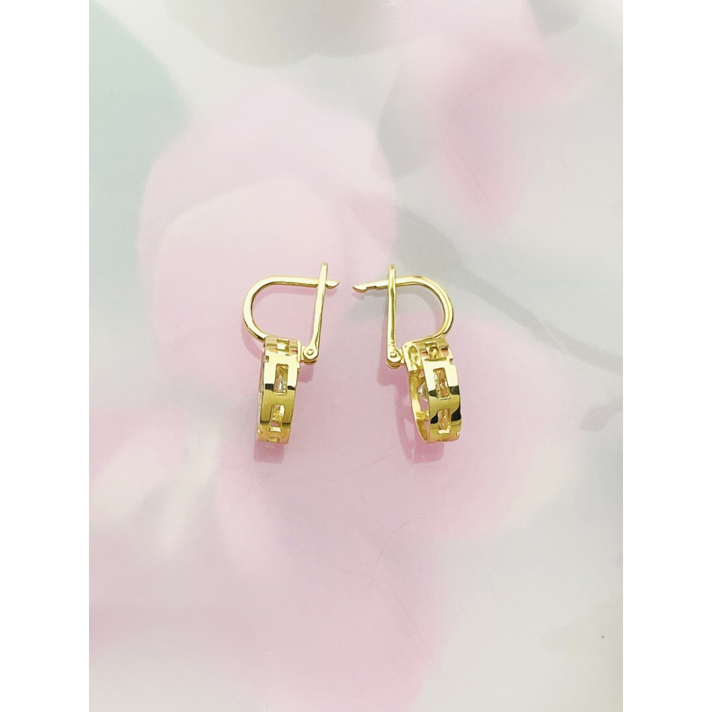 Ohrringe Ohrhänger mit Zirkonia Ohrstecker Ohrschmuck Paar Gelbgold 585er 14KT