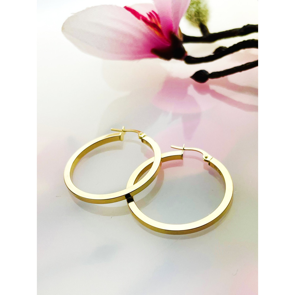 Creolen Ohrringe Ohrhänger Ohrstecker Ohrschmuck Gelbgold Paar 375er