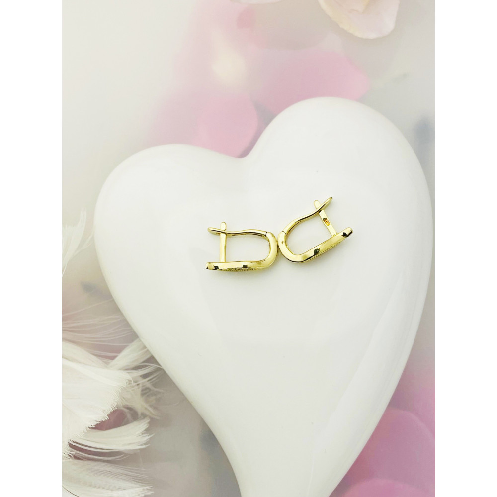 Flügel Ohrringe Ohrhänger Ohrstecker Ohrschmuck Gelbgold Paar 585er 14KT