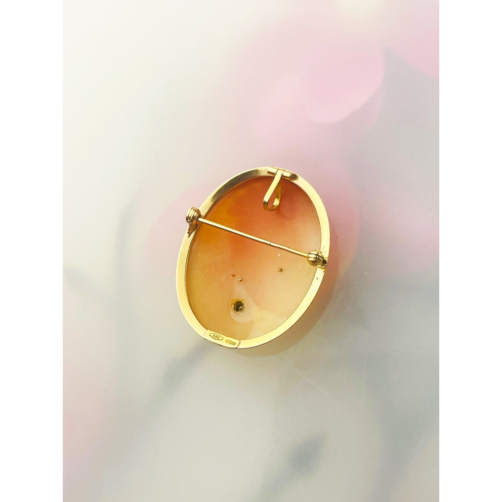 Kamea Goldbrosche mit Zirkonia Gelbgold 585er 14KT