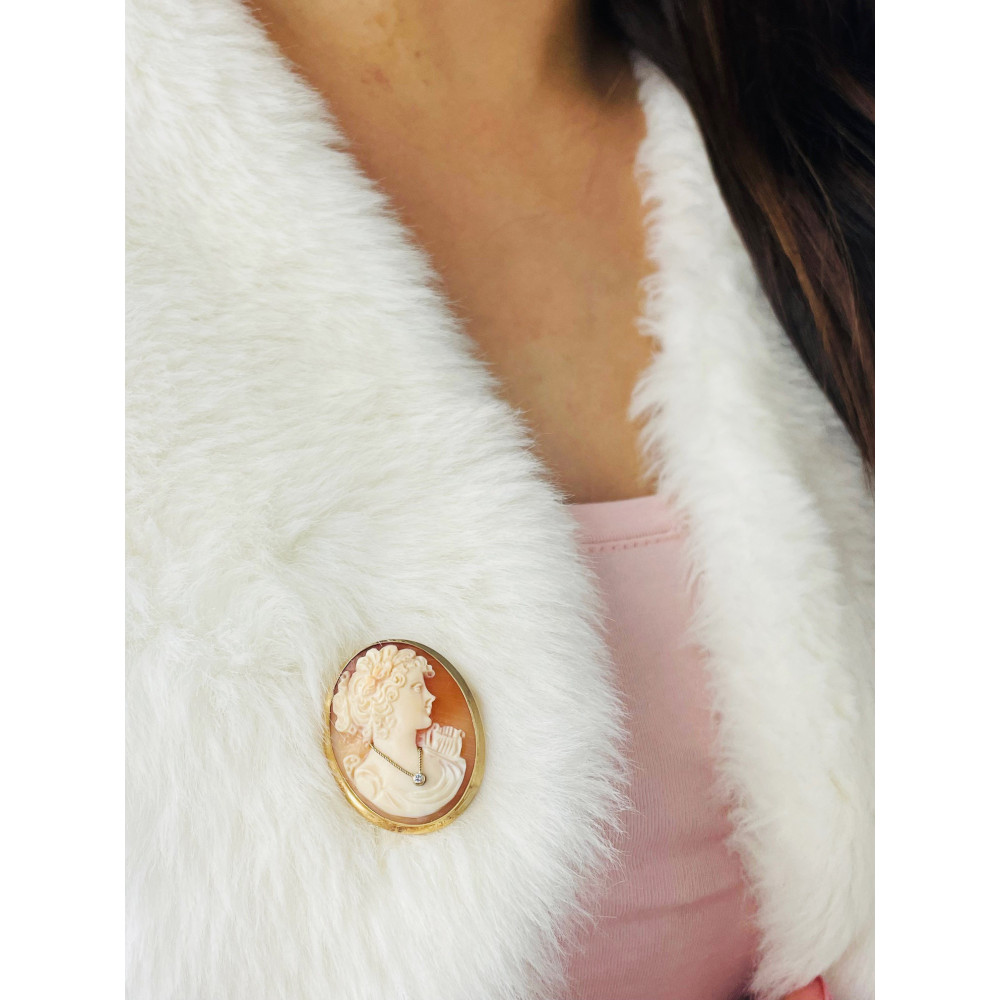 Kamea Goldbrosche mit Zirkonia Gelbgold 585er 14KT