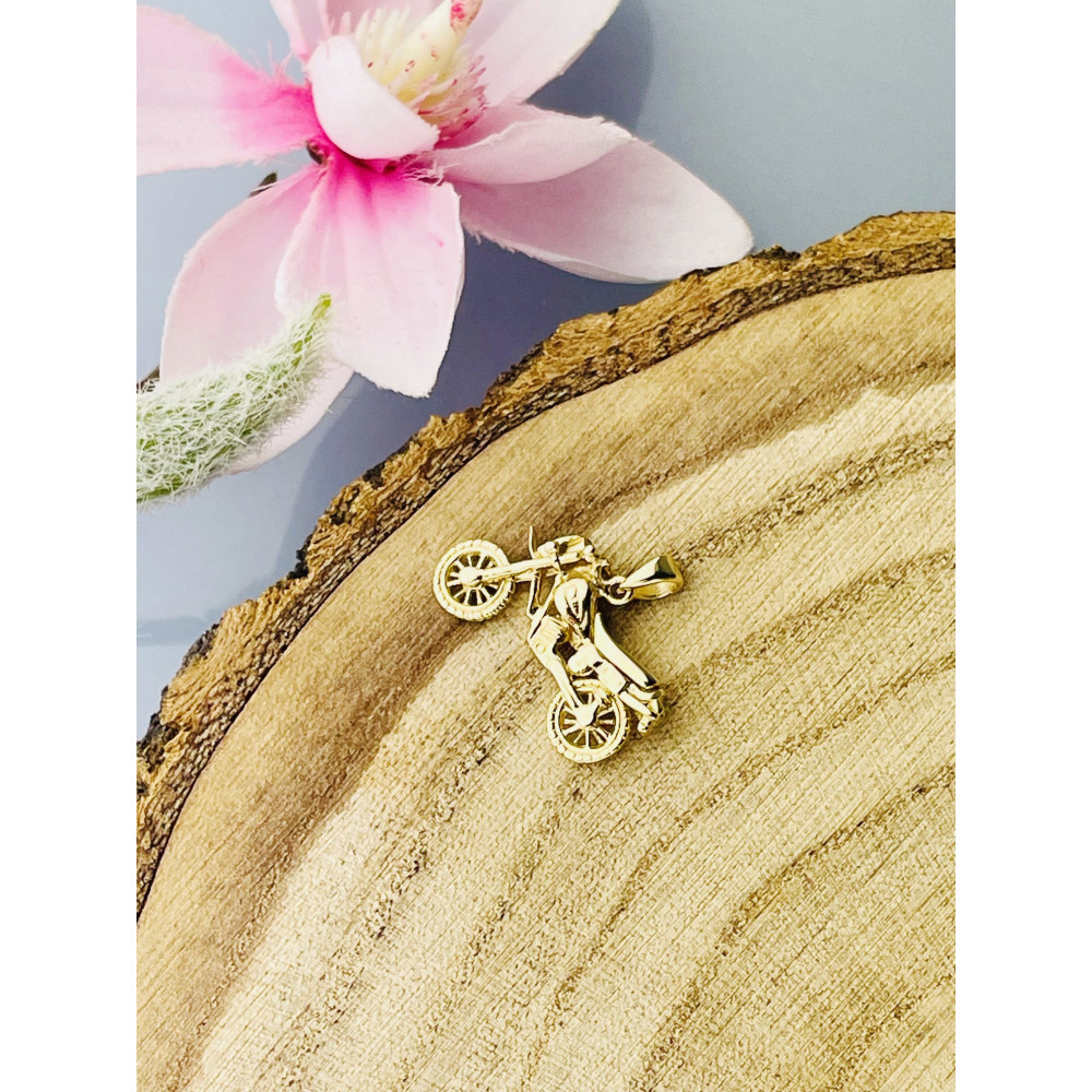 Anhänger Kettenanhänger Motorrad Gelbgold Goldanhänger 585er 14KT