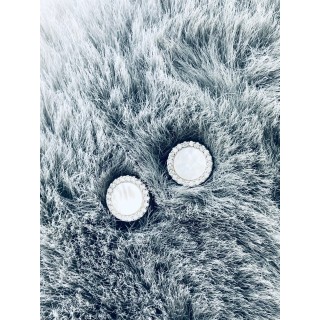 Kreis 925 Silber mit Zirkonia und Perlmutt Ohrringe