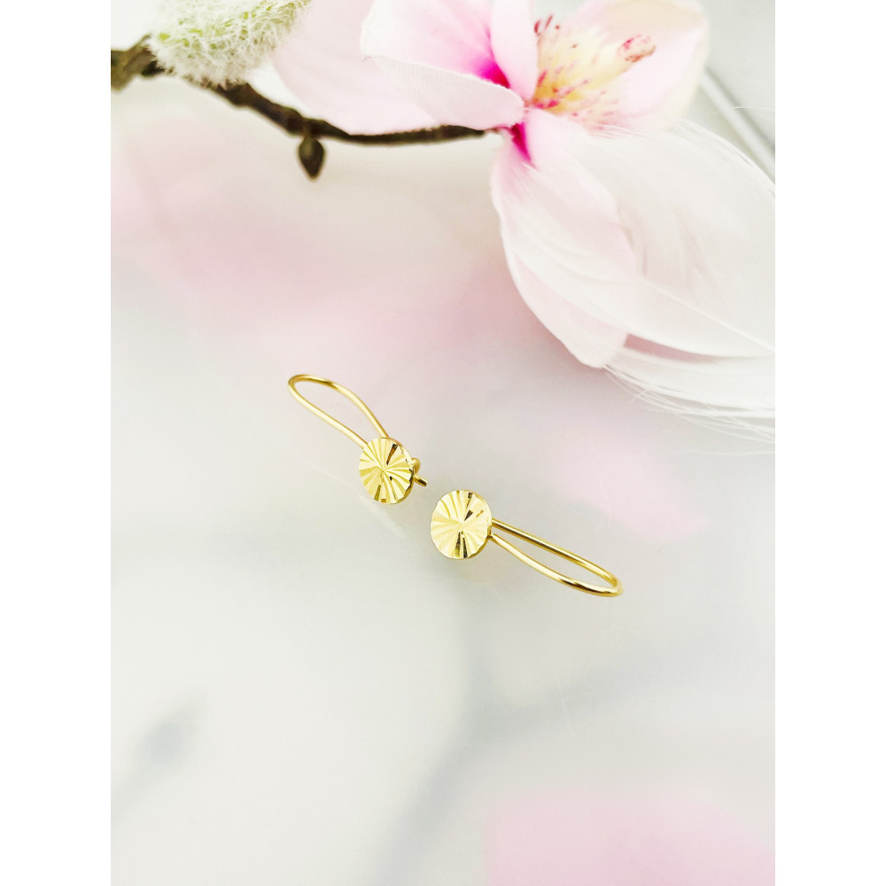 Kreis Gold Ohrringe Ohrhänger Ohrstecker Ohrschmuck Paar Gelbgold 585er 14KT