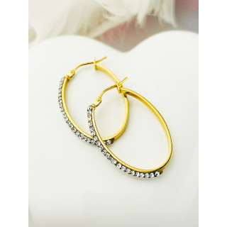 Elegante Gelbgold Kreis mit Zirkonia Creolen Ohrringe 333er 8KT