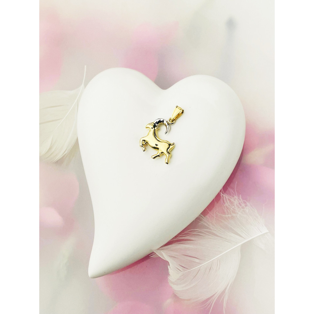 Anhänger Steinbock Sternzeichen Tierkreiszeichen Horoskop Kettenanhänger