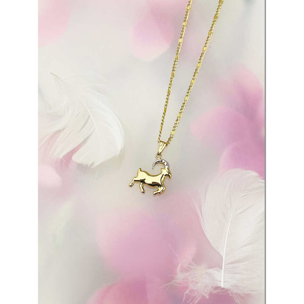 Anhänger Steinbock Sternzeichen Tierkreiszeichen Horoskop Kettenanhänger