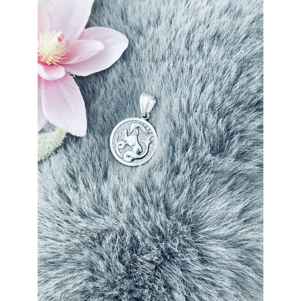 Silber Anhänger Steinbock Sternzeichen Tierkreiszeichen Horoskop Kettenanhänger