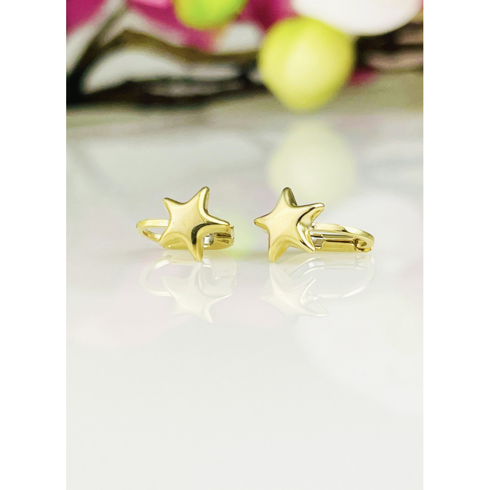 Ohrringe Stern Ohrhänger Ohrstecker Ohrschmuck Gelbgold Paar