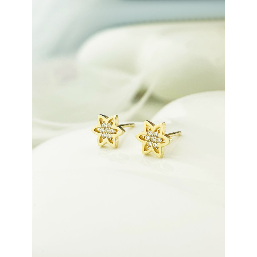 Stern Ohrringe Ohrhänger Ohrstecker Ohrschmuck mit Zirkonia Gelbgold Paar 585er 14KT