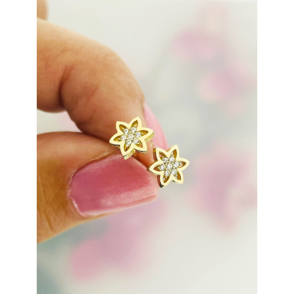 Stern Ohrringe Ohrhänger Ohrstecker Ohrschmuck mit Zirkonia Gelbgold Paar 585er 14KT