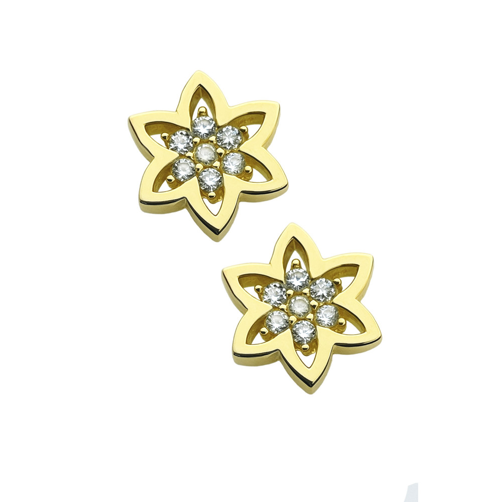 Stern Ohrringe Ohrhänger Ohrstecker Ohrschmuck mit Zirkonia Gelbgold Paar 585er 14KT