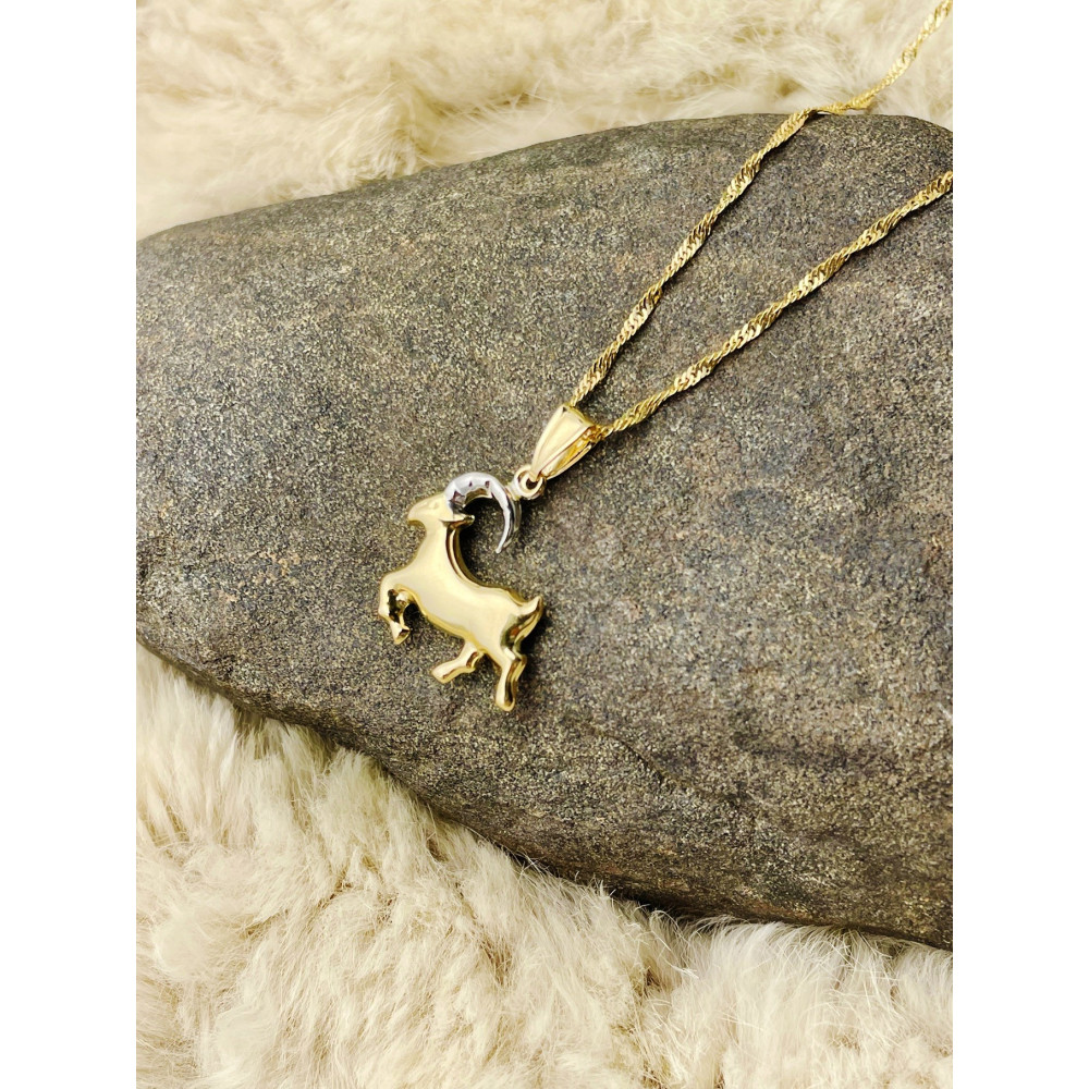 Anhänger Steinbock Sternzeichen Tierkreiszeichen Horoskop Kettenanhänger