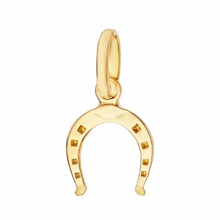 Anhänger Pferd Hufeisen Gold Goldanhänger