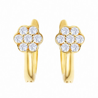 Gold Ohrringe Ohrhänger Ohrstecker Ohrschmuck Gelbgold 333er