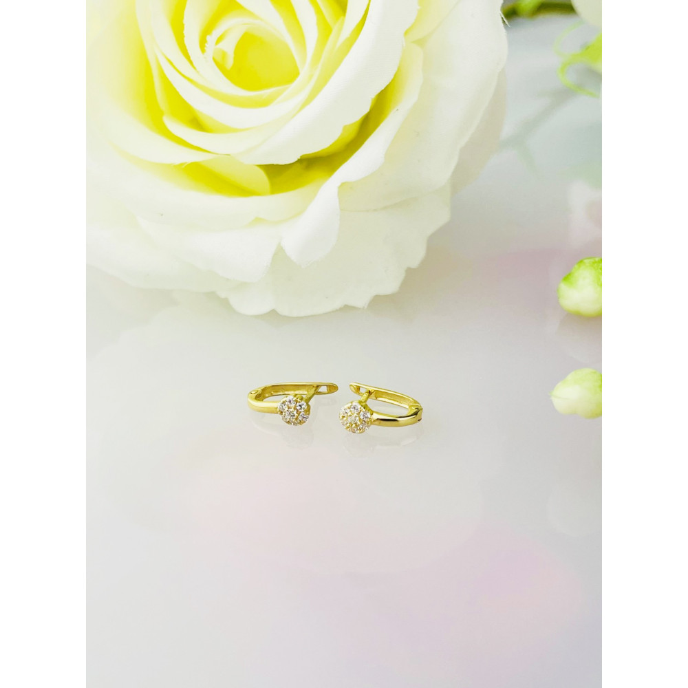 Gold Ohrringe Mit Zirkonia Ohrhänger Ohrstecker Ohrschmuck Paar Gelbgold