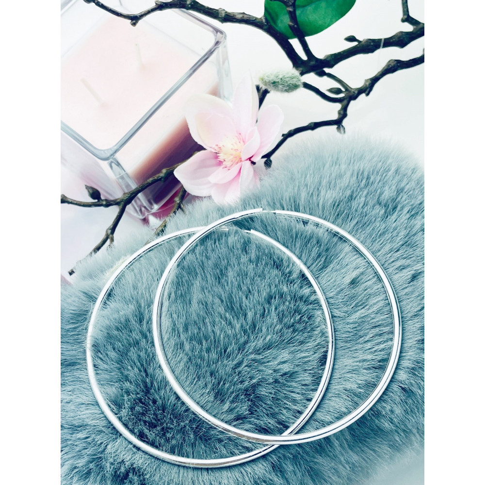 Silberne Ohrringe große Kreise